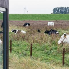 Tiny House Nature 13 Zur Kuhweide - Green Tiny Village Harlesiel