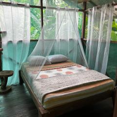 Rio Agujitas Eco Farm hostel and Tours