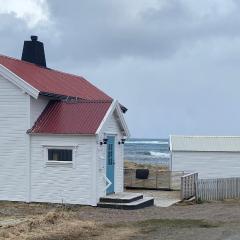 Roligheten Lodge in Andenes