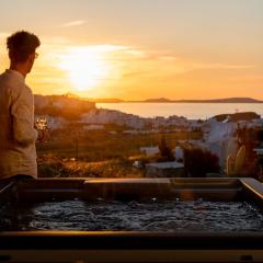 Opuntia Suites