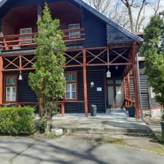 Vila Viorica