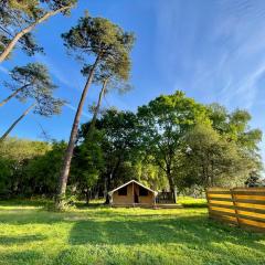 Tente Lodge Bouleau - La Téouleyre