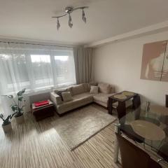 VIP Apartment Kolorowa