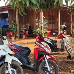 Tree Trails Homestay & Offers Jungle Trekk-Scooter For Rental