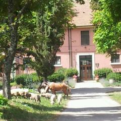Country House Villa delle Rose Agriturismo