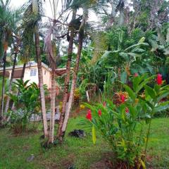 Martinique La petite maison dans la Colline