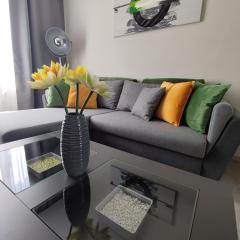 Central Greatforest Apartman