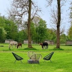 Gite Haras du Bois de Formerie