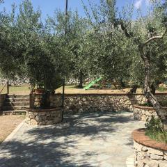 L’Ulivo