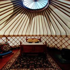 Beautiful Yurt with stunning South Downs views