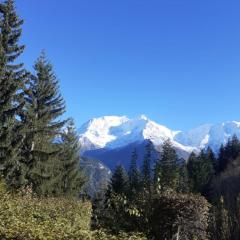 Cosy studio with garden and view of Mont Blanc