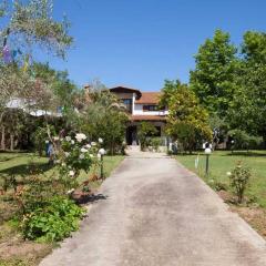 Wonderful villa with huge yard, at Potamos beach