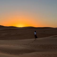 Delight Desert Camp