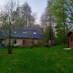 COTTAGE DANS SON ECRIN DE VERDURE