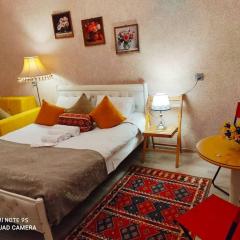 LIVE-INN COZY & CENTRAL apartment with a LIFT, GARDEN & AIRPORT SHUTTLE