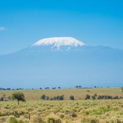 Little Amanya Camp Amboseli