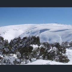 IceBreaker - Mount Hotham