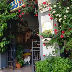 David Hotel - Ethno style