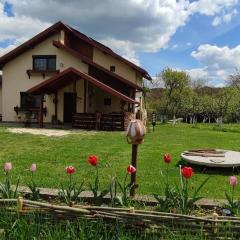 Cottage in traditional village Bradulet, Arges county