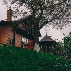 Будиночок в Карпатах