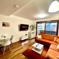 Entire Apartment, O2 Arena, Clarion, Metro 3 min, Xmas market in City Center 15 min