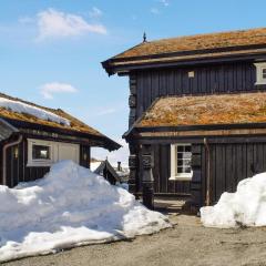 Lovely Home In Rauland With House A Mountain View