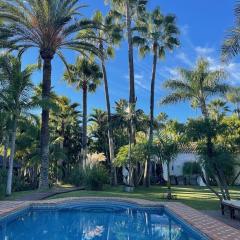 Villa in a palm tree plantation