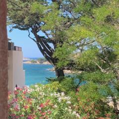 Superbe appartement accès direct à la plage de Renecros Tout à pied linge de lit, serviettes de bain et ménage de fin de séjour inclus