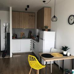 Apartament Pileckiego Nowy Dwór Mazowiecki Airport Modlin 24 H