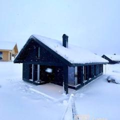 Brand new cabin at Moseteråsen Hafjell Ski inout