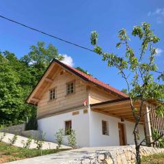 Holiday home in Mirna Pec Kranjska Krain 43928