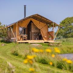 Under the Oak Glamping