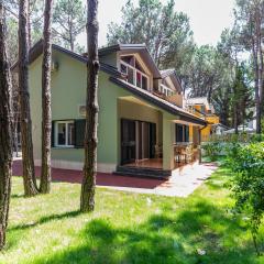 Forest Cottage - middle of forest & near the beach