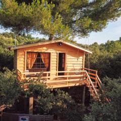 Cabane dans les arbres au coeur d'un vignoble