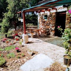 Isolated, 30m to sea, Viktoria s cottage