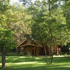 Blue Moon Log Cabin