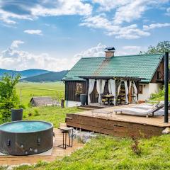 Amazing Home In Donji Babin Potok With Jacuzzi