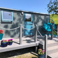 The Peacock Shepherds Hut at Hafoty Boeth