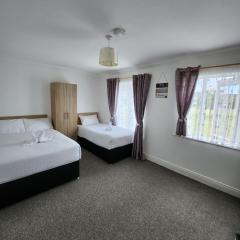 New room with free minibar&tea&coffee