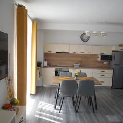 Apartament regim hotelier Băile Felix