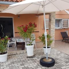 Apartment Branka