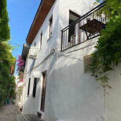 Old town castle house-detached house