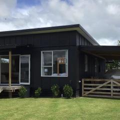 Black Beauty - Double Family Lake House for 12 with a NEW SPA & Pets