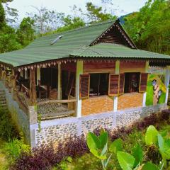 Hutan Subur Guest House and Volunteering