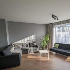 Spacious and sunny apartment in Birstonas center