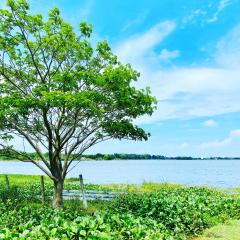 Lake View Cottage