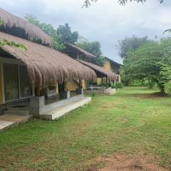 Web of Life Resort Wasgamuwa