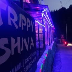 Trippy Shiva Hostel