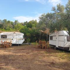 Aquariumi Jale Camping