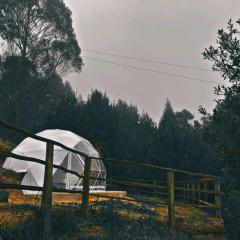 Glamping El Mirador de las estrellas